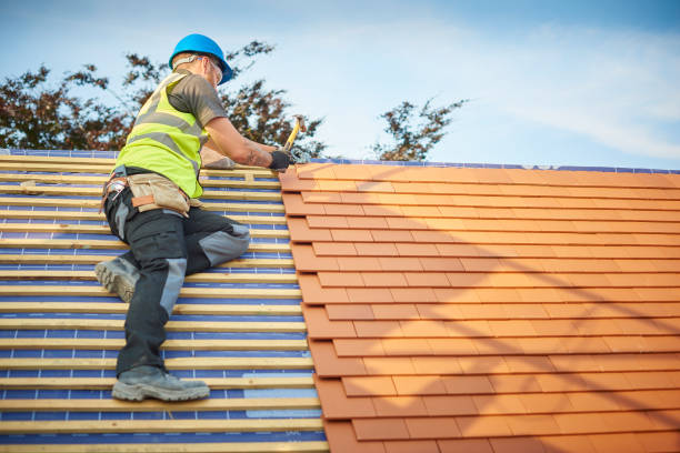 Best Metal Roofing Installation  in Dent, OH